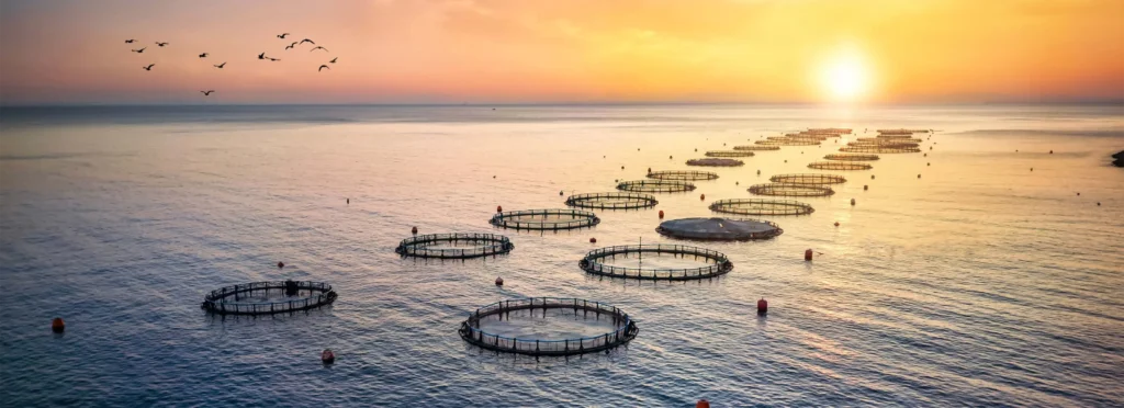 Banner united aquaculture