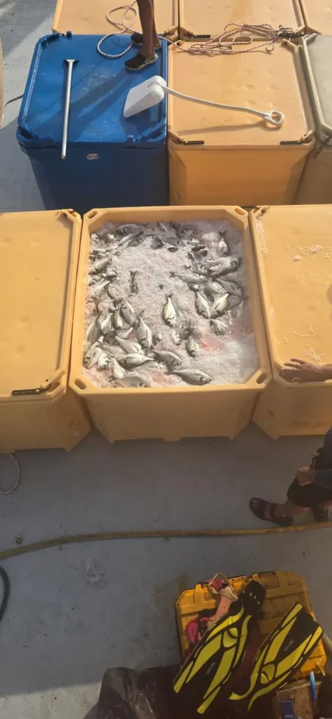 United aquaculture 08