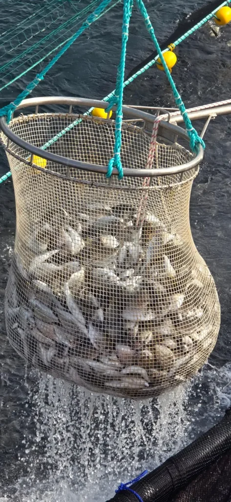 United aquaculture 09