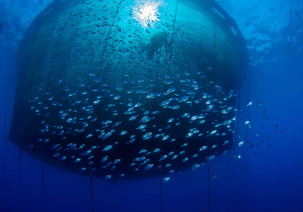 United aquaculture image 3